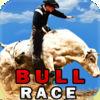Bull Race ( Bull Simulation Racing Game )