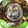 Mystery In Jungle Hidden Objects Edition