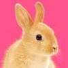 Bunny Jigsaw Puzzle For Kids For Free