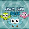 Crazy Bird Race