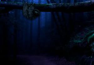 play Escape From Deadly Forest