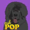 Ask Pop: Free Version