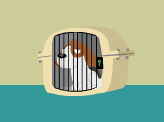 play Free The Dogs Escape 2