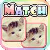 Cute Kitten Match Hd - Kids Memory Game