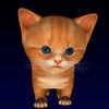 Cute Kitten Virtual Pet, Your Own Kitty To Take Care