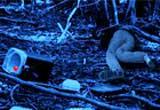 play Escape From Deadly Forest