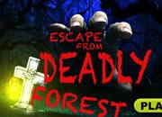 play Escape From Deadly Forest