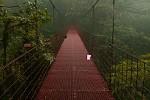 Escape From Monteverde Cloud Forest Reserve