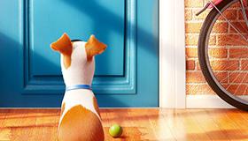 play Hidden Objects In The Secret Life Of Pets