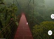 play Escape From Monteverde Cloud Forest Reserve