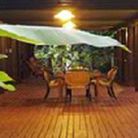 play Escape From Daintree Rainforest