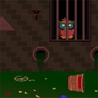 play Drainage Owl Escape