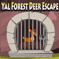 Yal Forest Deer Escape