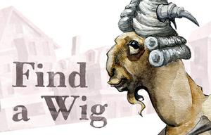 play Find A Wig