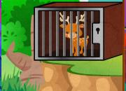 play Green Forest Deer Escape