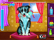 play Pet Dogs Cool Makeover