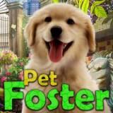 play Pet Foster