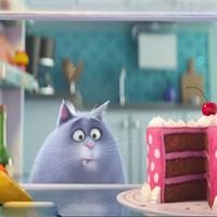 play Secret Life Of Pets