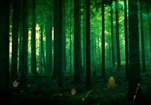 play Alien Forest Escape