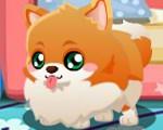 play My Cute Pom Puppy