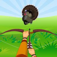 play Turkey Hidden Target