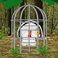 play Escape White Turkey From Green Forest