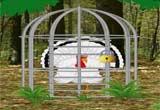 play Escape White Turkey From Green Forest