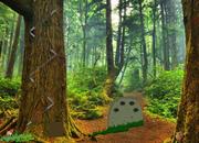 play Escape White Turkey From Green Forest