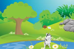 play Husky Escape