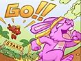 play Bunny And Turtle
