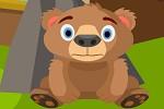 play Forest Bear Cub Escape