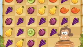 play Jungle Fruits