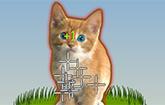 play Cat Clicker Mlg