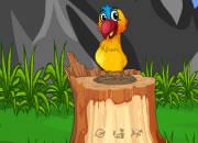 play Help The Fantasy Bird To Fly