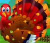 play Thanksgiving Turkey Grooming