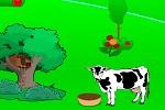 play Escape From Bird Hill
