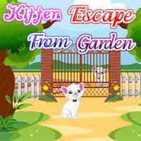 Pinkygirl Kitten Escape From Garden