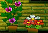 play Praveena House Escape Game