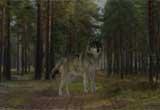 play Autumn Forest Escape 2