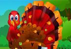 play Thanksgiving Turkey Grooming