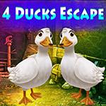 play 4 Ducks Escape Game