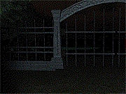 play No Way Out Of The Woods