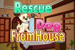 play Rescue Dog From House