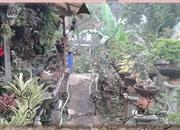 play Fancy Garden Escape