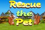 Rescue The Pet