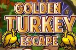 Golden Turkey Escape