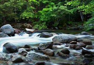 play Yosemite National Park Escape