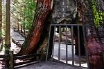 play Yosemite National Park Escape