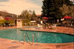 Escape From Napa Valley Marriott Hotel And Spa