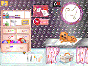 play Dog Health Care